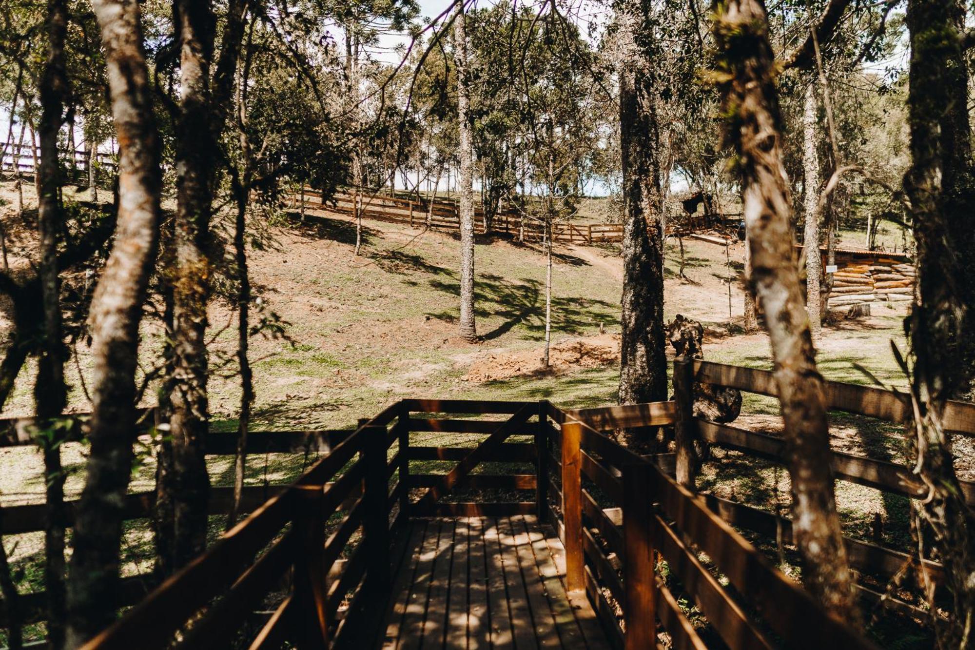 Chale Aconchego - Pousada Cachoeira Da Neve Urubici Exterior foto